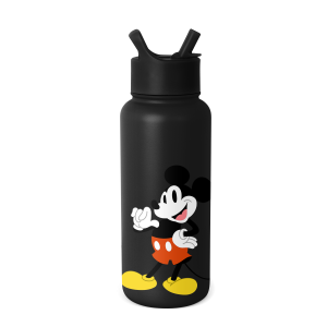 Disney Summit Water Bottle with Straw Lid