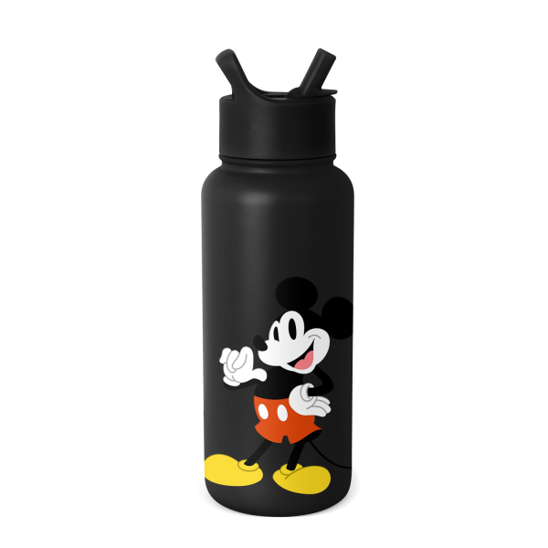 Disney Summit Water Bottle with Straw Lid