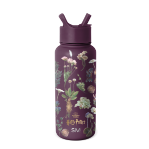 Harry Potter Summit Water Bottle with Straw Lid