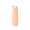 Summit Water Bottle with Straw Lid