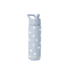 Summit Water Bottle with Straw Lid
