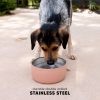 Bentley Pet Bowl - Image 4