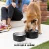 Bentley Pet Bowl - Image 6